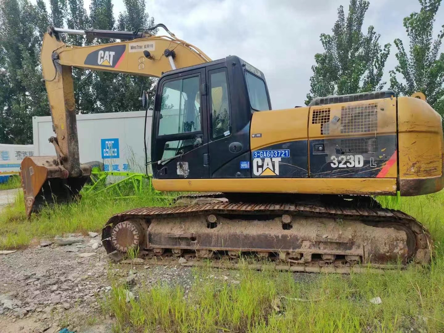 Caterpillar323