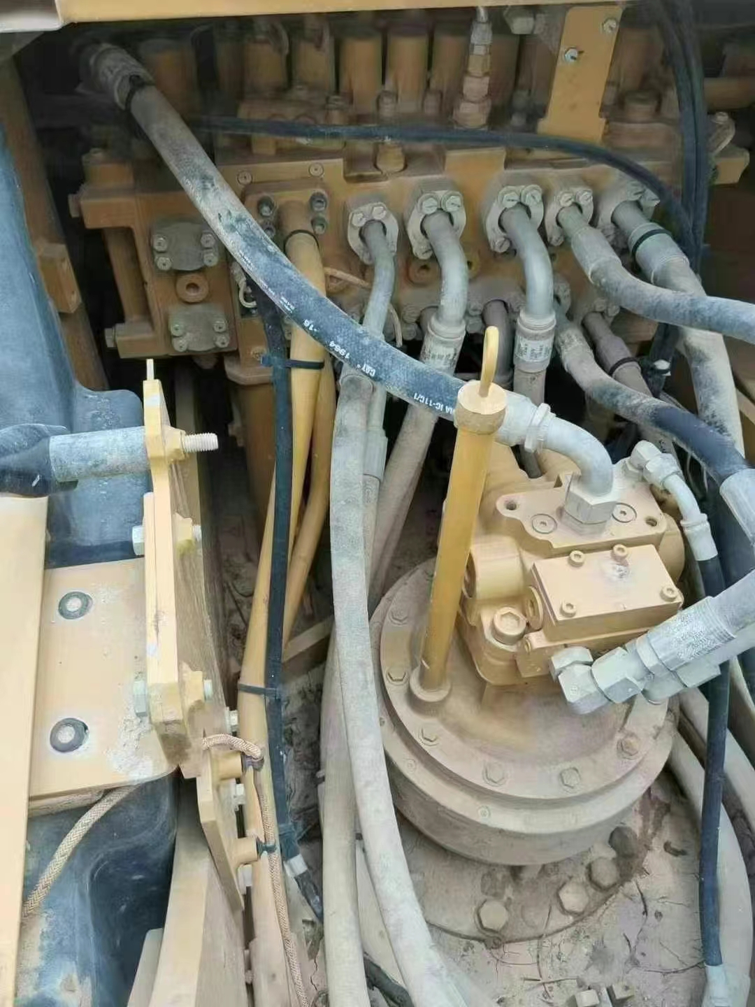 Caterpillar323