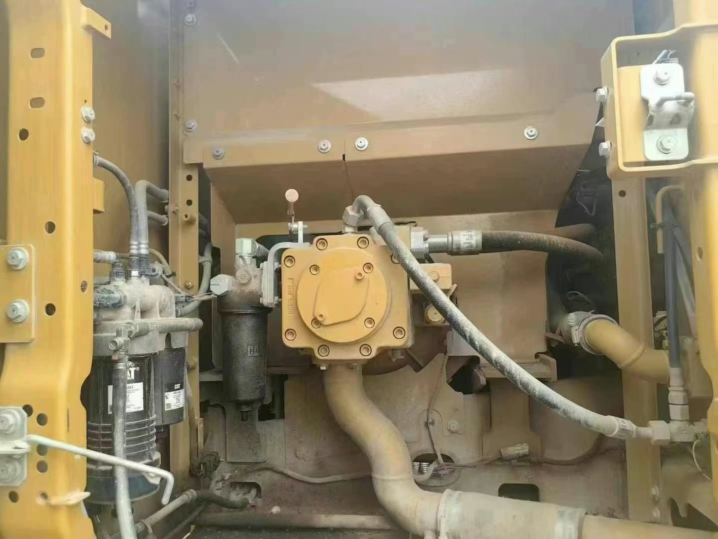 Caterpillar323