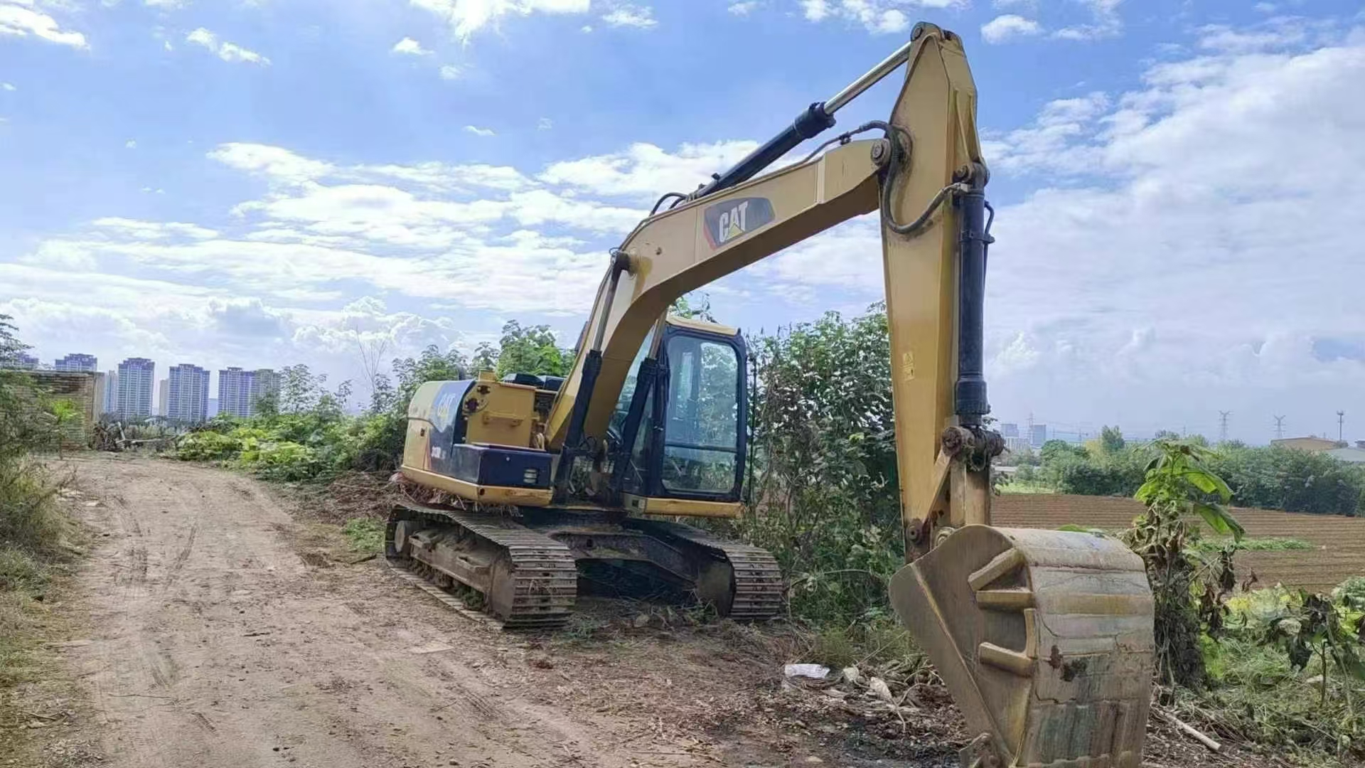 Caterpillar313