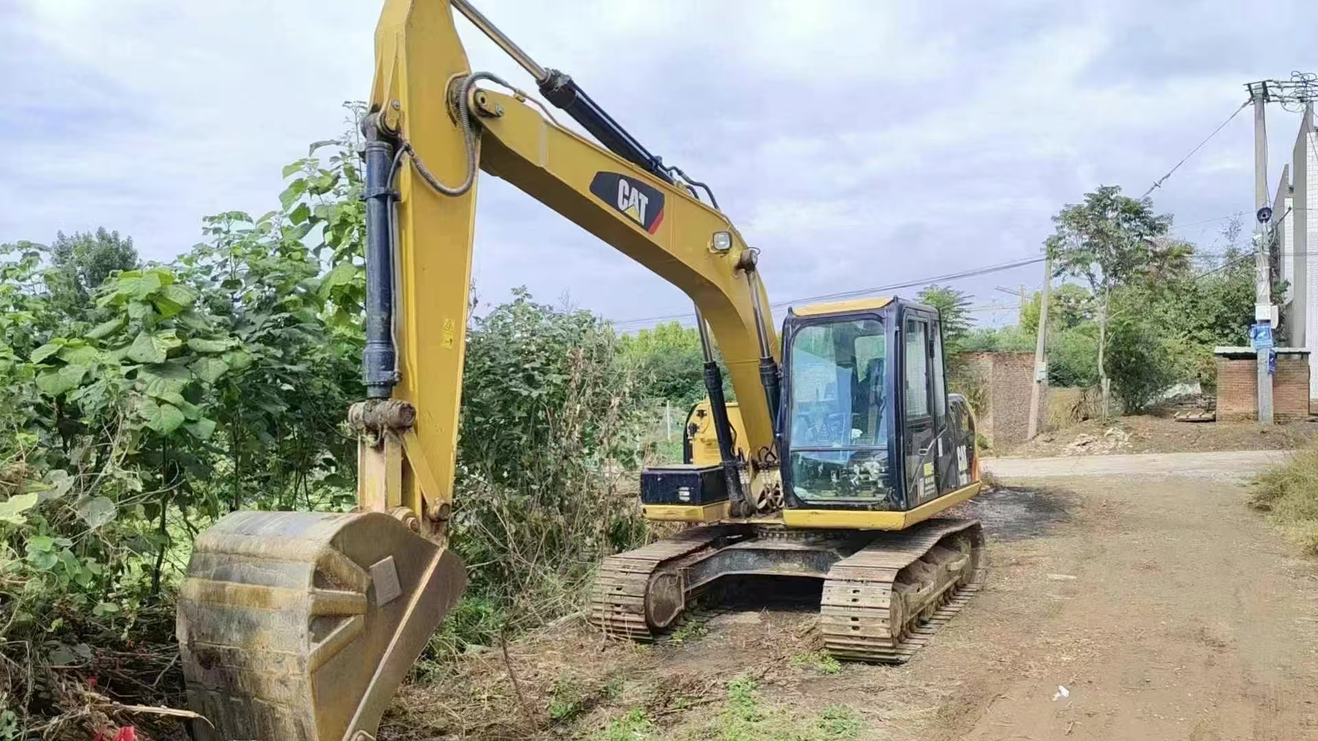 Caterpillar313